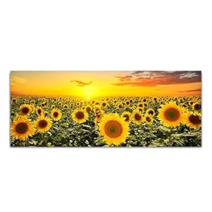 DekoGlas Afbeelding op glas ‘Zonnebloemen’ echt glas afbeelding keuken, wandafbeelding hal foto’s woonkamer wanddecoratie, eendelig 125×50 cm