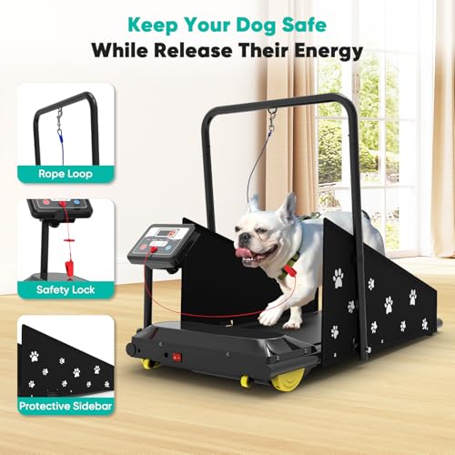 Petbobi Treadmill Tips