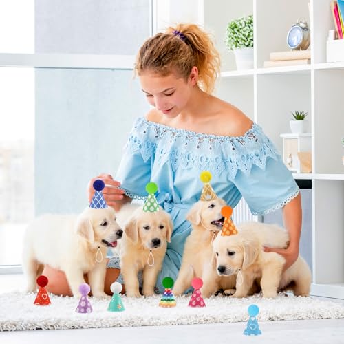 image for Hooqict 10 PCS Mini Small Party Hats for Stuffed Animals Colorful Mini
