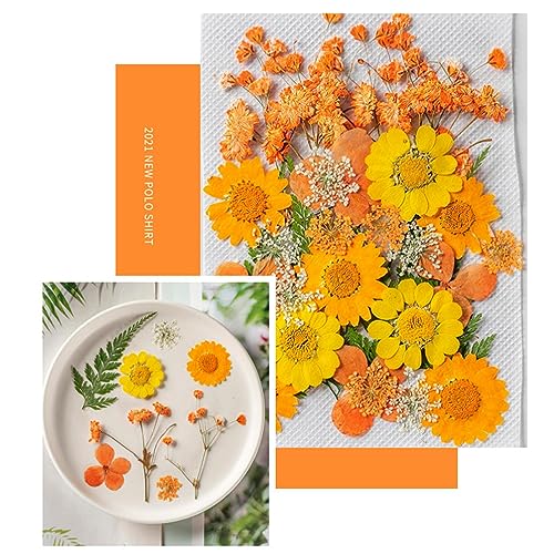 Adesivos florais para diário | plantas para diário, adesivos reais e naturais estéticos, suprimentos