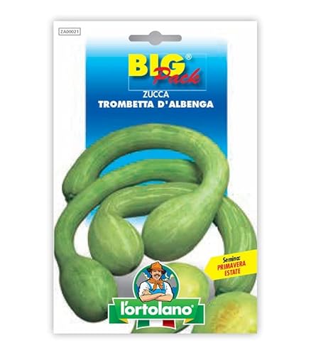 ZUCCA TROMBETTA D'ALBENGA BIG PACK L'ORTOLANO