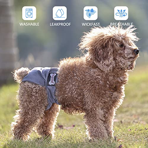 Dog Diapers - Puppy Diapers Female | Super Fast Absorbent, Anti-Bactrl Premium Graphene - Pack Of 3 #TOP7