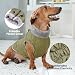 JoyDaog Warmer Fleece-Hundemantel mit strapazierfähigem Geschirr mit D-Ring, wasserdichte Welpenjacke für kleine Hunde, Hundeweste für den kalten Winter, Grün, Größe M
