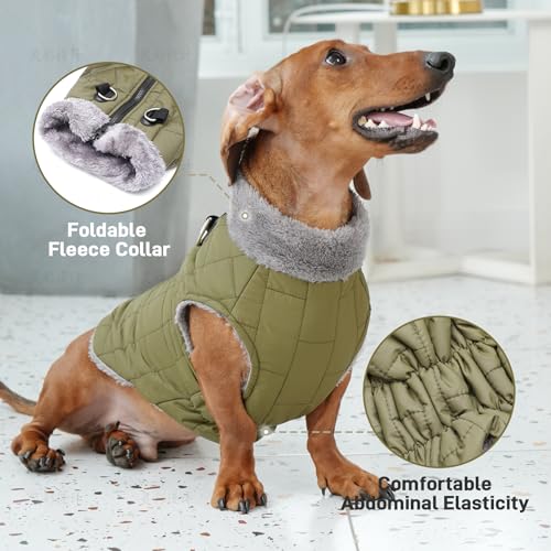 JoyDaog Warmer Fleece-Hundemantel mit strapazierfähigem Geschirr mit D-Ring, wasserdichte Welpenjacke für kleine Hunde, Hundeweste für den kalten Winter, Grün, Größe S