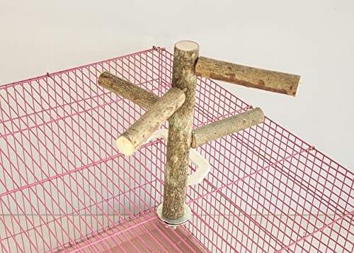 Image of KSK 9'' Natural Wood Bird Perch Stand, Hanging Multi Branch Toys for Parrots, Parakeets Cockatiels, Conures, Love Birds, Finches