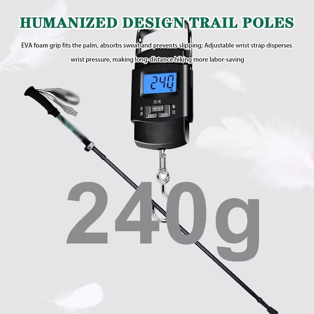 Bastoncini da Trekking Pieghevoli E Portatili, Bastoncini da Nordic Walking Ultraleggeri, Telescopici, con Chiusura Rapida, per Il Campeggio(Black Color)