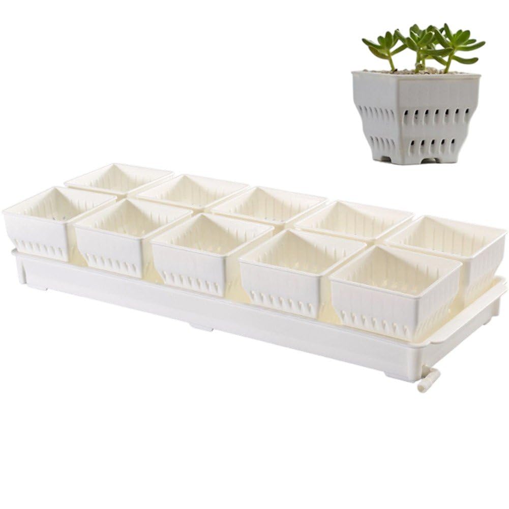 Fituenly Succulent Plant Pot Set with Tray, Decorative Windowsill Planter Pots Plastic Flower Pot for Indoor Outdoor Garden