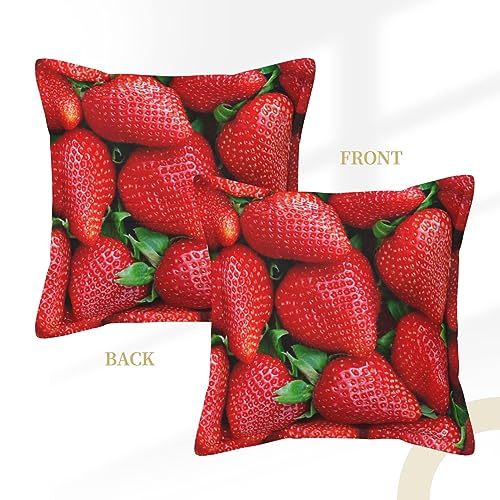 Housses de coussin en cuir de qualité supérieure style rustique chic 50cm
