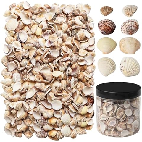 Ira Pollitt 400 Pieces Small Sea Shells for Decorating Tiny Sea Shells Natural Seashells for Home Decorations Crafting Fish Tank Vase Fillers Beach Theme Party Wedding Home Decorations DIY Cover