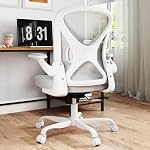 Chaise de bureau ergonomique avec support Lombaire réglable, chaise de bureau Mesh Home avec bras et roues rabattables, gris
