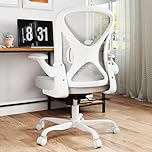 ZZH Mesh Office Chair with Adjustable Lumbar Support, Ergonomic Home Office Desk Chair with Wheels and Flip-up Arms, Grey