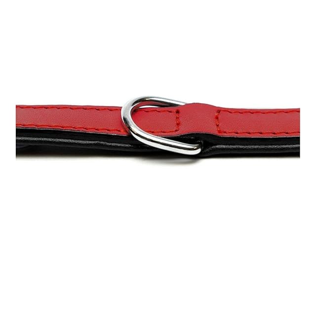 Foto 5 de 7 de GLORIA Collar Piel Acolchado 55CM X 25MM Rojo