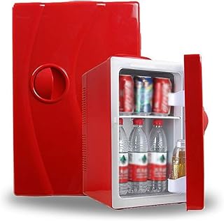 Dwunapięciowa lodówka samochodowa Dualuse 12V DC Car220V AC Home, 20L przenośny samochód chłodny i ciepły Mini domowa elektryczna lodówka turystyczna Cool box do podróży