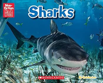 Hardcover Sharks in a Box Book