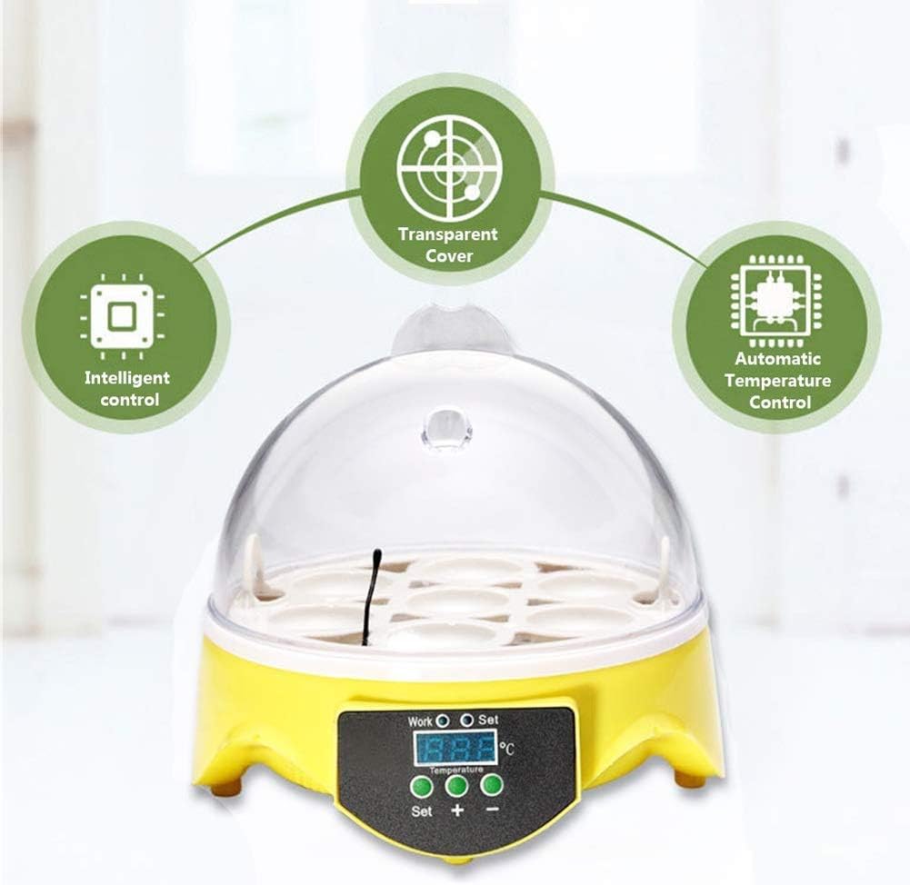 Mini 7 Egg Incubator, Automatic Digital Temperature Control Poultry Hatcher fltry Hatcher for Hatching Chicken Geese Duck Birds