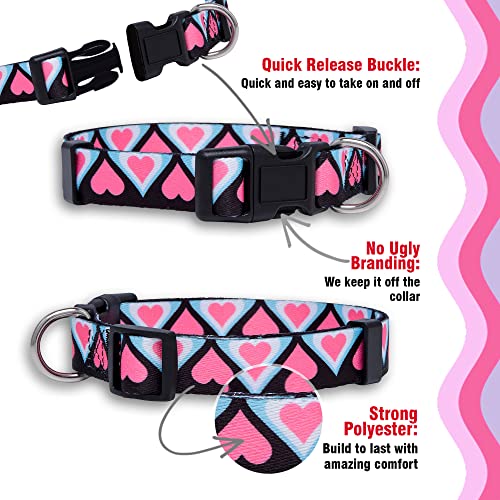 Native Pup Valentine's Day Heart Dog Collar, Cute Pink Red Puppy Gift (Large, Blue And Pink Hearts) #TOP3