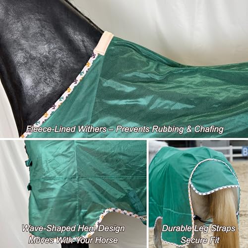 Image of BARN & STABLE Breathable and UV Protective Tear-Resistant Mesh Horse Fly Sheet Comfy Equine Summer Sheet with Removable Web Leg Straps (Evergreen, 75 in)