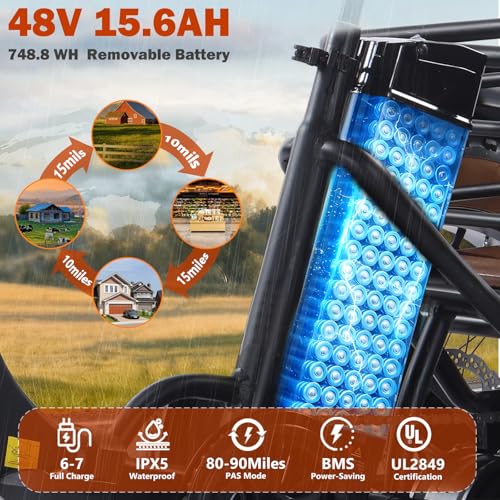 Electric Tricycle for Adults 750W(Peak 1350W) 48V15.6Ah