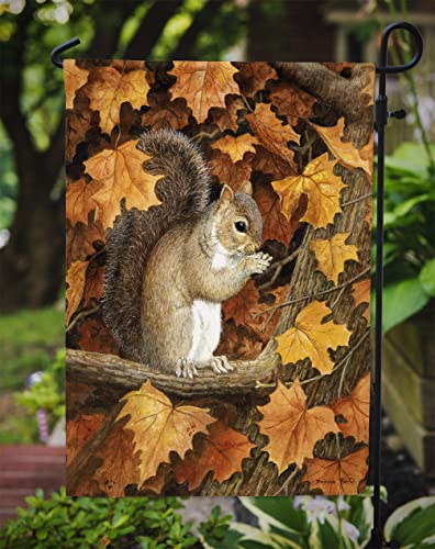 Caroline's Treasures Bdba0388Gf Autumn Grey Squirrel By Daphne Baxter Flag Garden Size, Garden Size, Multicolor #TOP2