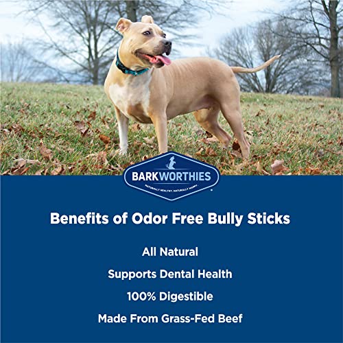 Barkworthies 2003933 Odor-Free 6-Inch Bully Sticks (5 Pack) - Healthy Dog Chews - Protein-Packed, Highly Digestible, All-Natural Rawhide Alternative Dog Treats - Promotes Dental Health thumb #2