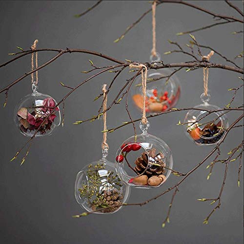 Ecosides Tealight Hanging Holders Hanging Glass Orbs Candle Holders without 2 Side Hole Candlestick Terrarium Globe(6Pcs)