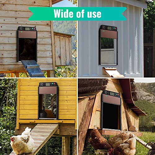 Automatic-Chicken-Coop-Door-Solar - Powered Auto Coop Door Aluminum Opener With Light Sensor, Timer, Lcd Display, Remote Control Weatherproof #TOP6