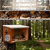 Squirrel House with with Camera Solar Powered- Squirrel Houses for Outside Nesting, Squirrel Nesting Box, Squirrel Boxes for Outside, for Garden for 2.4g WiFi Coverage Area