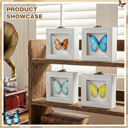 Image of Reallnaive 4 Pcs Insect Pinning Kit 4 inch Wooden Display Case Box, EVA Foam Insect Pinning Board, 100 Bug Pins for Butterfly Specimen Bugs Collection Tools (White)