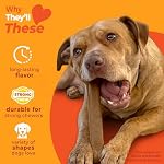 Nylabone Strong Chew Dog Toy 4-Pack Made with Real Bacon, Bison, Venison, Beef, & Chicken, Durable Chew Toys for Aggressive Chewers, Long Lasting Dog Bone, Large Breeds - Up to 50 lbs, 4 Count - Image 3