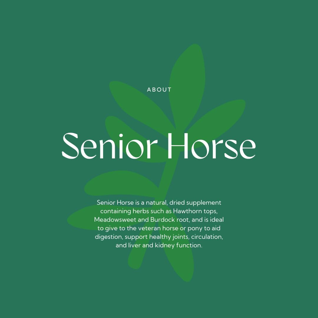 Hilton Herbs Senior Horse 1 kg