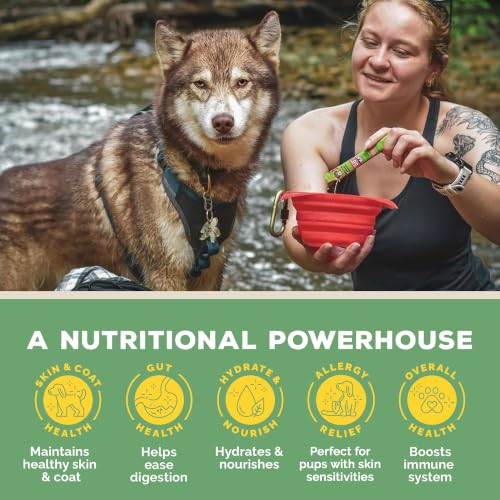 Image of Brutus Broth on the Go Instant Vegetable Broth Powder for Dogs - Human-Grade Food Topper with Omegas 3, 6 & 9 and Turmeric for Dry Food and Picky Eaters - Vegetable Flavor, 10 Sticks