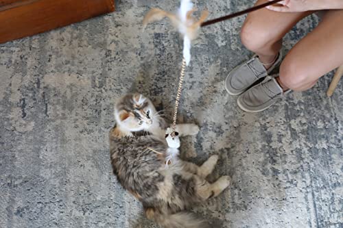 Our Pets Play-N-Squeak At Night Twinkle Mouse Cat Wand Interactive Cat Toy (Cat Toys For Indoor Cats, Interactive Cat Toy, Catnip Toys) Cat Toy Wand Interactive Cat Toys For Indoor Cats With Catnip #TOP1