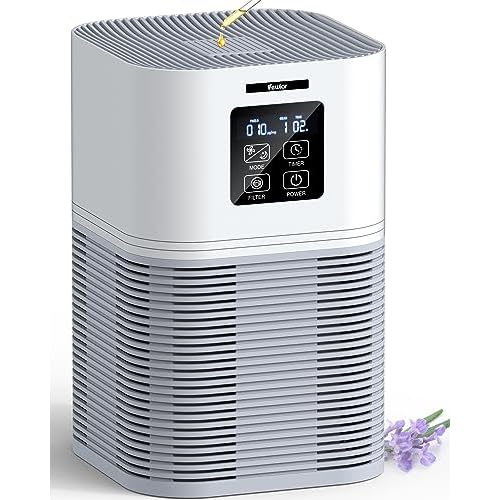 VEWIOR Air Purifiers for Home, HEPA Air Purifiers for Large Room up to 600 sq.ft, H13 True HEPA Air Filter with Fragrance Sponge 6 Timers Quiet Air Cleaner for Pet Dander Wildfire