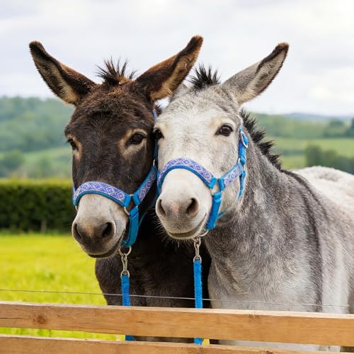 Cabestro de burro miniatura con ramal para un guiado seguro sin tirones 5
