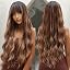 Ombre Brown Highlight (2039|1)
