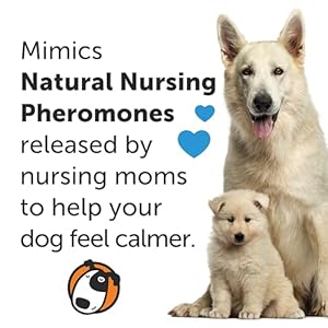 Thundereasedogcalmingpheromonespraypoweredbyadaptilreduceanxietyduringtravelvetvisitsandboarding Urban Country Home Decor Thunderease dog calming pheromone spray powered by adaptil reduce anxiety during travel vet visits and boarding urban country home decor