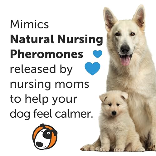 Thundereasedogcalmingpheromonespraypoweredbyadaptilreduceanxietyduringtravelvetvisitsandboarding Urban Country Home Decor Thunderease dog calming pheromone spray powered by adaptil reduce anxiety during travel vet visits and boarding urban country home decor