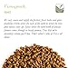 Fenugreek Seed Organic Quality Seeds - Culinairy Grade - Real Trigonella Foenum-graecum - Fenegreek Fenugreek Organic Fenugrec Seed Funegreek Seeds Fenugreekseed Seed Feenageek Fungreek