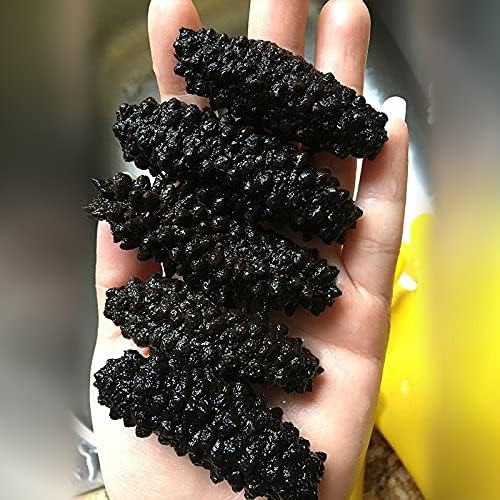 GOLDENSEA-8oz-Dried Wild Sea Cucumber, Black Pin Atlantic Sea Cucumber, 金海堂-野生淡干海参, 北极冰刺参,岩刺参,Holothuria Mammata, Grade AAAA (mix size)