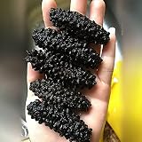 GOLDENSEA-8oz-Dried Wild Sea Cucumber, Black Pin Atlantic Sea Cucumber, 金海堂-野生淡干海参, 北极冰