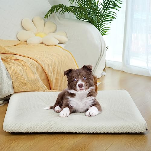 Empsign Dog Bed Crate Pad For Small Dogs, Deluxe Fluffy Plush Machine Washable Dog Mat, Crate Pet Beds With Removable Waterproof Cover, Sleeping Mat Cushion Bed, 23"X 16", White #TOP21