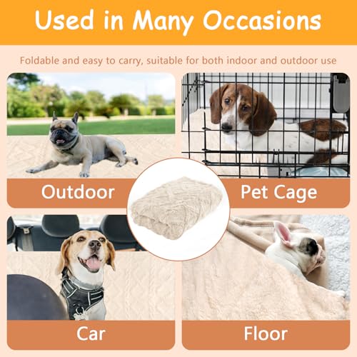 Neerow Hundedecke, 100x150 cm Katzendecke Sofa, Hunde Decke Waschbar, Fleece Haustier Decke Flauschig für Kleine und Mittelgroße Hunde, Katzen Kuscheldecke (Beige)