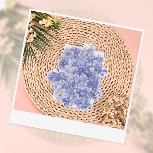 24-Pack Flores Secas Prensadas para Manualidades miniatura 2