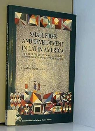 Small firms and development in Latin America: The role of the institutional environment, human resources, and industrial relations