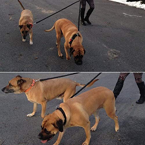 Stgood No Tangle Pet Leash Double Dog Leash Coupler Walker Training Leash For Small Medium Dog - Two Dogs Leash Splitter Dog Trainer Leash (Black) #TOP5