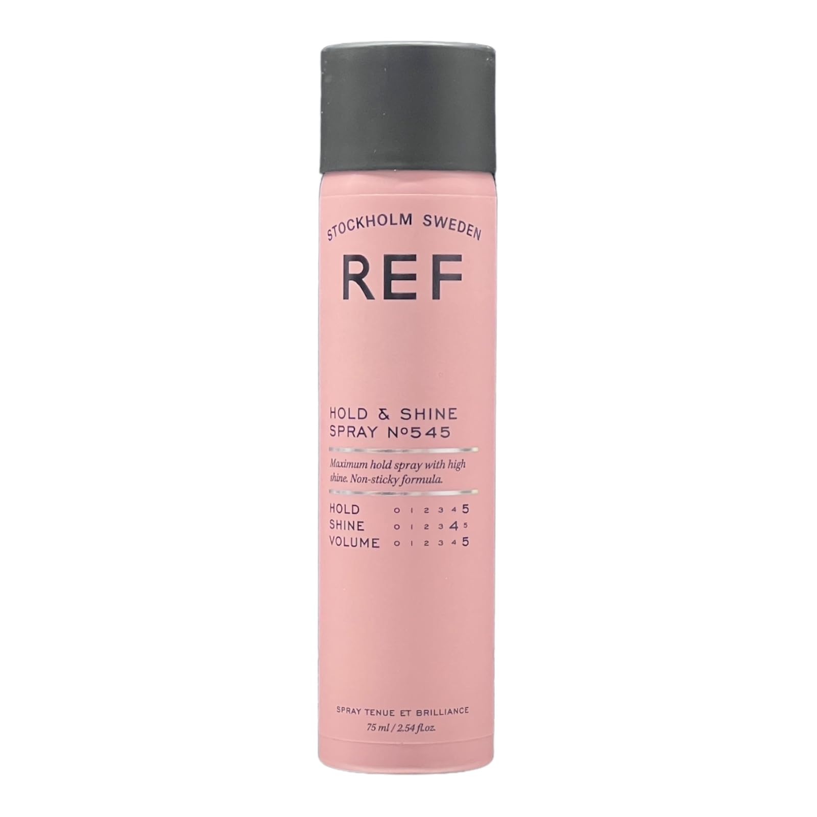 REF Hold & Shine Spray 545