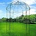 OUTOUR French Style Birdcage Shape Heavy Duty Gazebo,9'Highx 6‘6