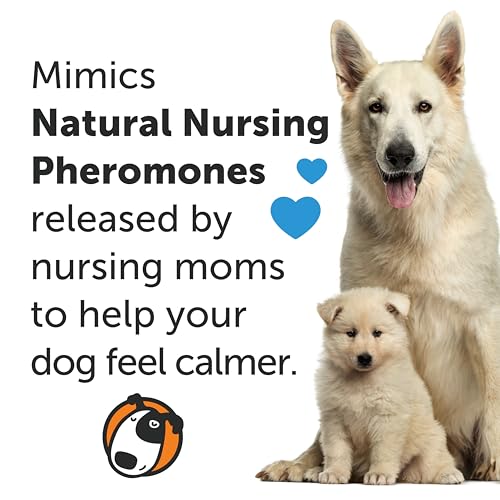 ThunderEase Calming Anti Anxiety Pheromone Collar for Dogs (Large)