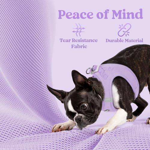 rabbitgoo Small Dog Harness, Step-in Soft Mesh Puppy Vest with Safety Buckle, Breathable Reflective Pet Harness for Small Sized Dogs, Light Purple S by rabbitgoo - Image 4