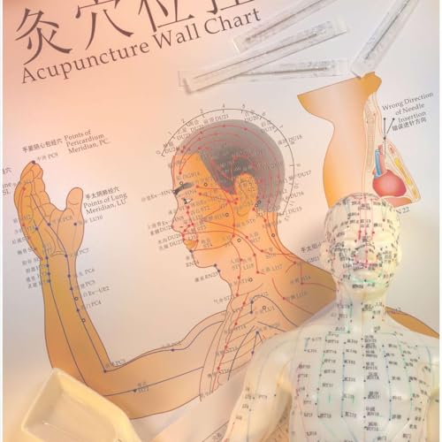 Traditional Chinese Medicine & Acupuncture with Peter Geller